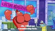 season 9 GIF by SpongeBob SquarePants