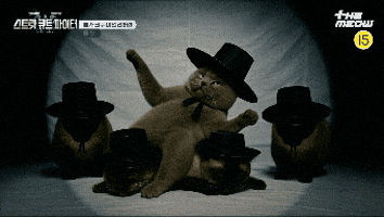 틴더스 GIF