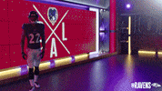 Football Sport GIF by Baltimore Ravens