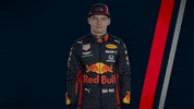 ver formula 1 GIF by Red Bull Racing