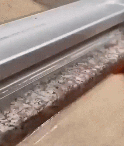 comericla giphyupload GIF