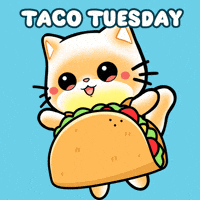 Mexican Food Cat GIF by Mochimons