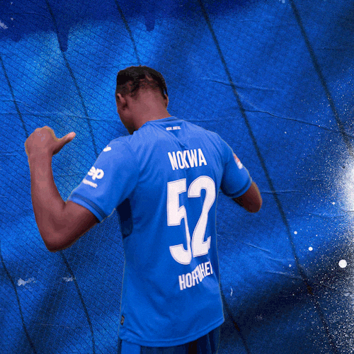 Sport Bundesliga GIF by TSG Hoffenheim