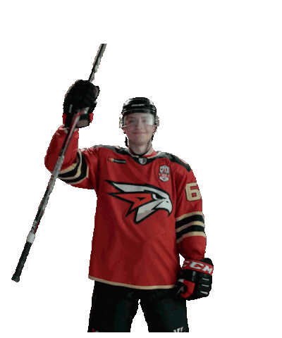 Goal Hockey Sticker by Avangard