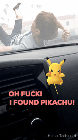 pokemon go catch em GIF by Leroy Patterson