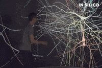 Dance Tech GIF by Couple 3 Films