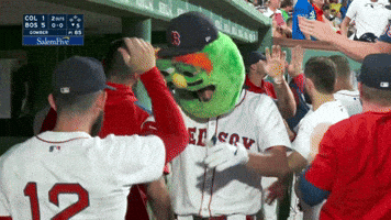 Celebrate Red Sox GIF by MLB