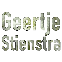 GeertjeStienstra magic flowers bouquet bloemen Sticker