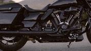 Brand Adventure GIF by Harley-Davidson