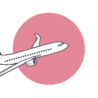 trip plane Sticker