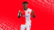 Football Celebration GIF by SK Slavia Praha