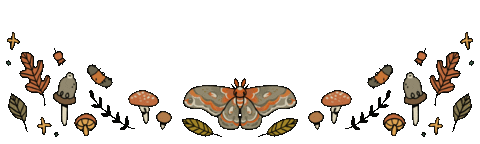 nepeteaa giphyupload nature fall autumn Sticker