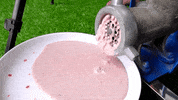 ExperimenMeatGrinder ice cream meat experiment grinder GIF