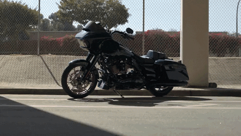 harleydavidson giphyupload motorcycle harley harley-davidson GIF