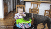dog laughing GIF