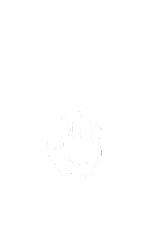 Time Eyes Sticker