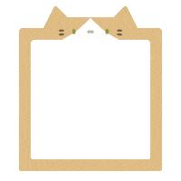 Cat Frame Sticker