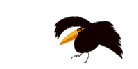 Happy Black Bird Sticker by Mi Señal