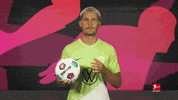 Posing Vfl Wolfsburg GIF by Bundesliga
