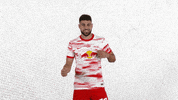 Oh Yeah Yes GIF by RB Leipzig