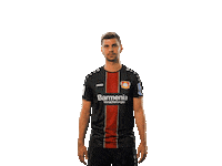 werkself idk Sticker by Bayer 04 Leverkusen