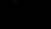 Agro Agronomia GIF by Semear Engenharia Agronômica