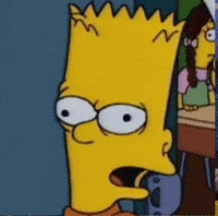 The Simpsons What GIF