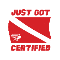 BermudaDivingCenter diving scuba diver open water diver Sticker