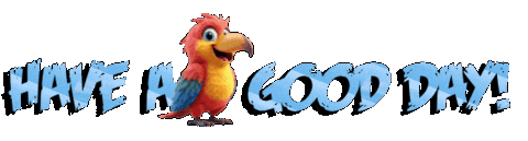 Panda Bear Fox Sticker