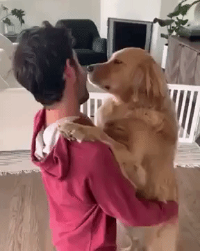Golden Retriever Gives His Owner a Tender Hug