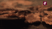Baseball Carne GIF by Club Tomateros