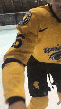 University Of Waterloo Hockey GIF by Waterloo Warriors