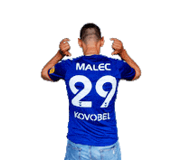 Name Tag Senica Sticker by Fortuna Liga
