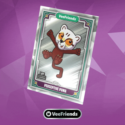 Box Collect GIF by VeeFriends