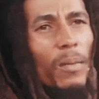 bobmarley GIF by Klarity