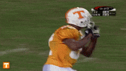 Tennessee Football Ut GIF by Tennessee Athletics