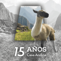 peru llama GIF
