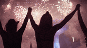 insomniacevents love celebrate joy fireworks GIF