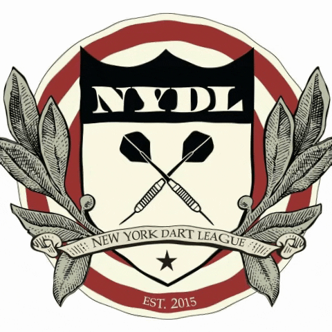 newyorkdartleaguee new GIF
