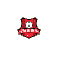 Liga 1 Football Sticker by Superliga Romania