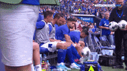 Football Keep Up GIF by FC Schalke 04