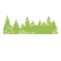 Tree Forest Sticker by Bad Harzburg Tourismus