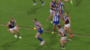 Never Tear Us Apart Football GIF by Port Adelaide FC
