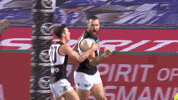 Never Tear Us Apart Football GIF by Port Adelaide FC
