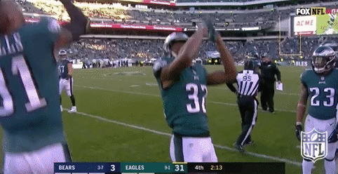 philadelphia eagles football GIF by NFL