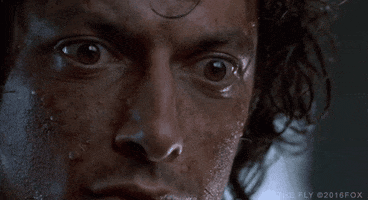 jeff goldblum GIF by foxhorror