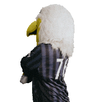 Soccer Mascot Sticker by Washington Spirit