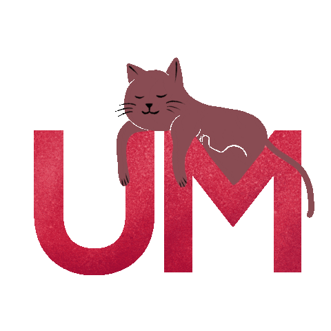 Cat Education Sticker by University of Malta (UM)