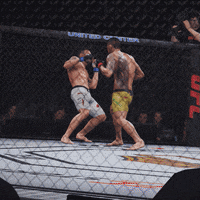 stay down ufc 3 GIF by EA SPORTS UFC