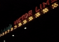 michigan detroit GIF
